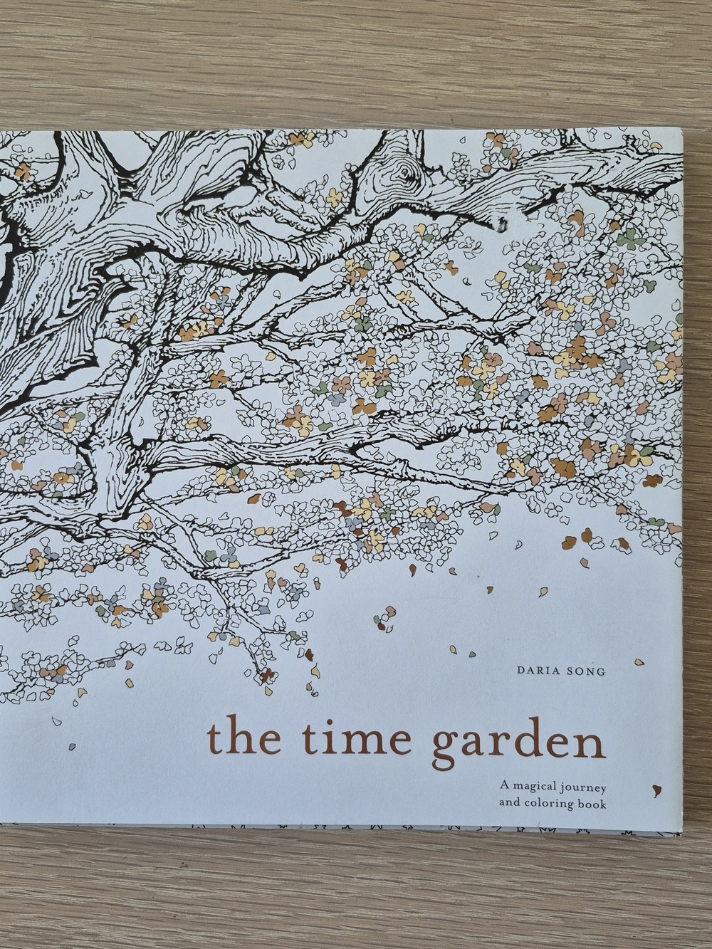 The Time Garden Coloring Book – White with Gold Accents